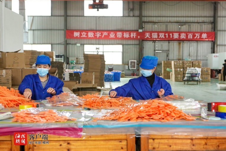 雙十一小家電銷(xiāo)量火爆的背后 日用百貨變身購(gòu)物車(chē)的常客